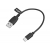 Maxlife kabel USB Type-C  0,2m, 2A, czarny.