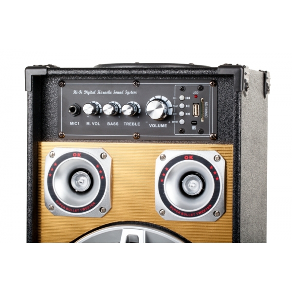 Aktywne kolumny głośnikowe Intex DJ-801